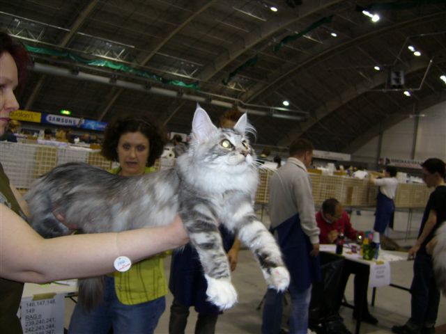 Kuva 18.9.07 128.jpg